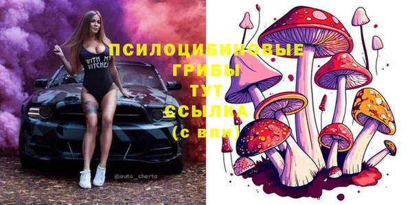 скорость Касимов