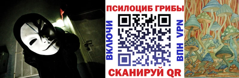 Купить закладки  Корсаков  Псилоцибиновые грибы мицелий 
